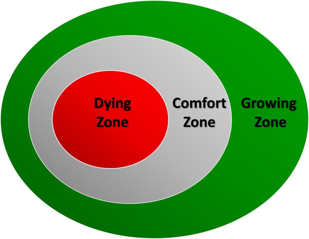 The Truth About Comfort Zones W5 Business Coaching