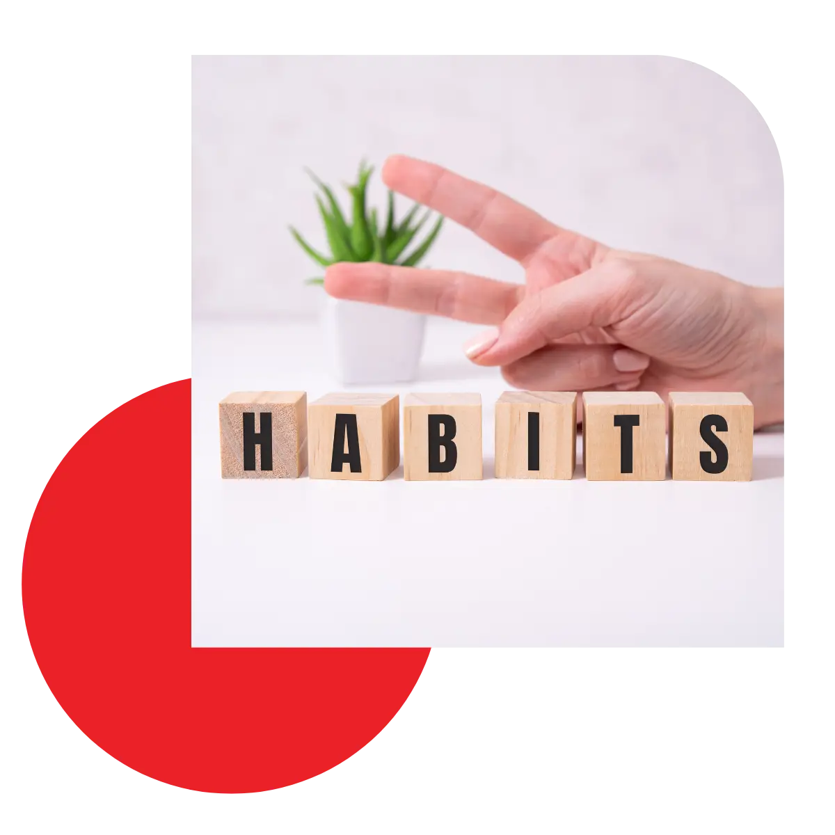 Habit building concept supporting long-term success through coaching