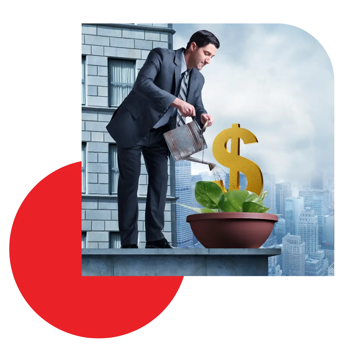 Guide to Scaling Your Business - man growing money in a plant